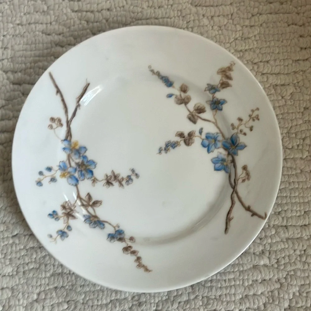 Limoges 5 piece dessert set sm platter + 4 8” plates antique French porcelain
